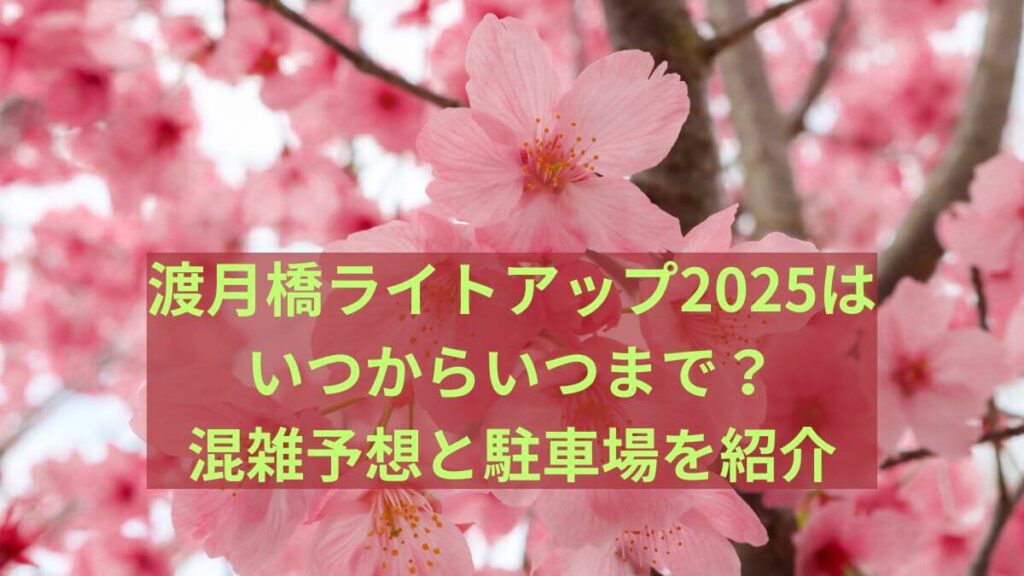 渡月橋　ライトアップ　いつから