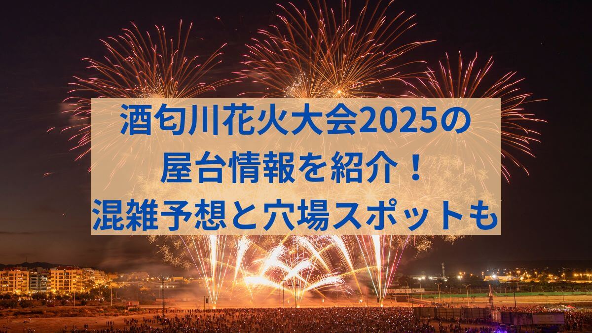 酒匂川　花火　2025