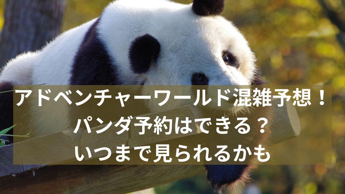 アドベンチャー　ワールド　パンダ