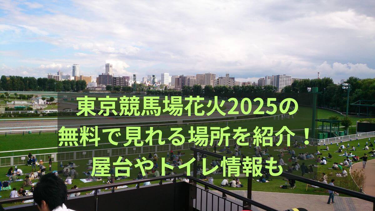 東京　競馬場　花火
