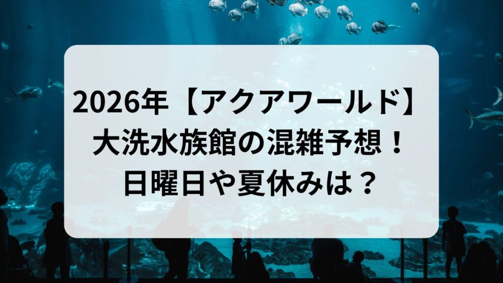 2026年【アクアワールド】大洗水族館の混雑予想！日曜日や夏休みは？